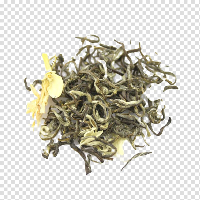 Jasmine tea, Jasmine tea samples transparent background PNG clipart