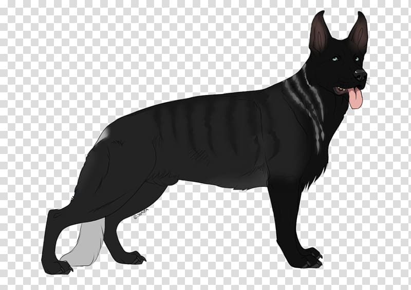 German Shepherd Schipperke Karelian Bear Dog Australian Kelpie Dog breed, bear transparent background PNG clipart