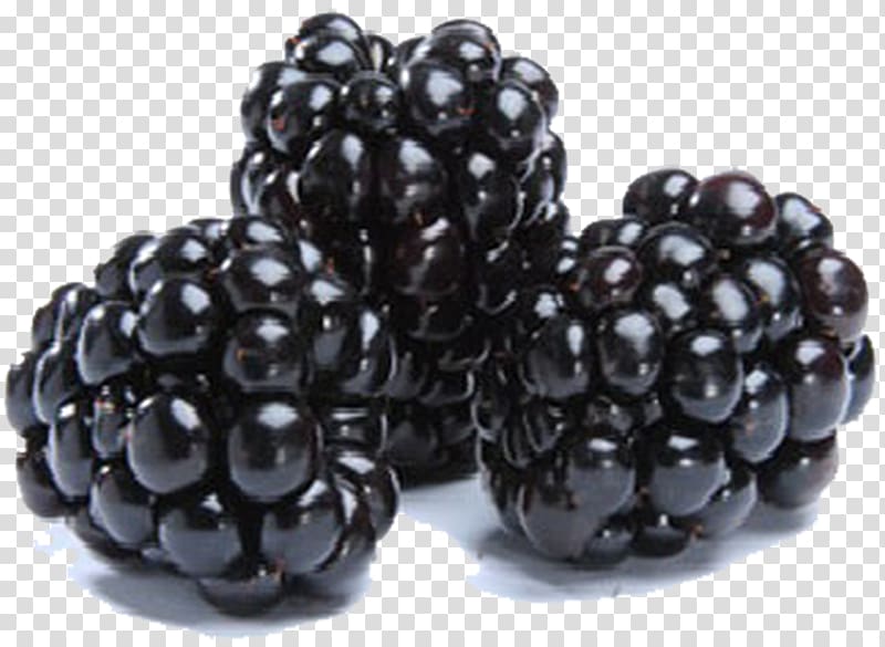 Blackberry Hass avocado Fruit Amora, raspberry fruit transparent background PNG clipart