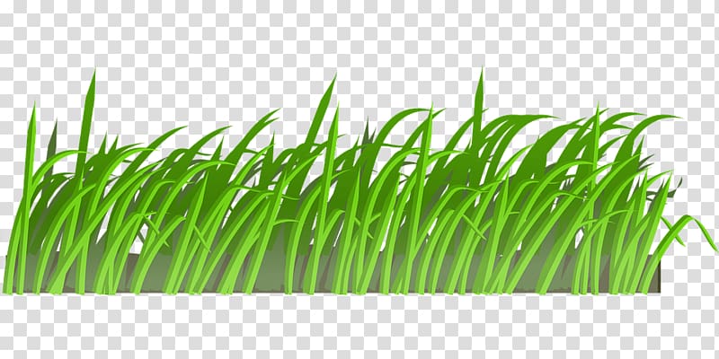 Lawn Cartoon , others transparent background PNG clipart