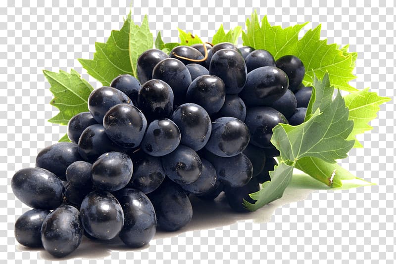 Common Grape Vine Portable Network Graphics Red Wine, grape transparent background PNG clipart