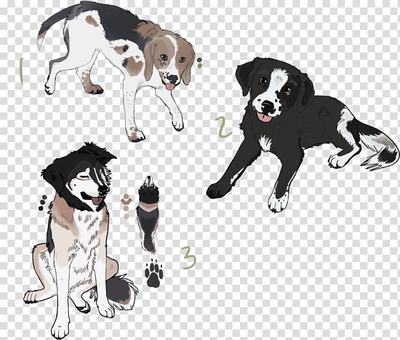 Dog breed Puppy Leash Paw, border collie labrador mix transparent background PNG clipart
