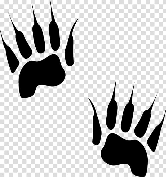 Animal track Canidae Cat Paw, Cat transparent background PNG clipart