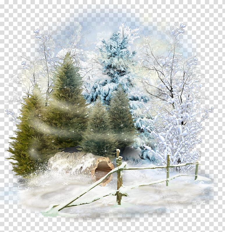 Spruce Winter Desktop Snow Landscape, winter transparent background PNG clipart