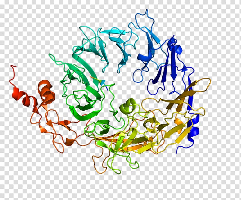 Sortilin 1 PCSK9 Protein structure Gene Neurotensin receptor, others transparent background PNG clipart