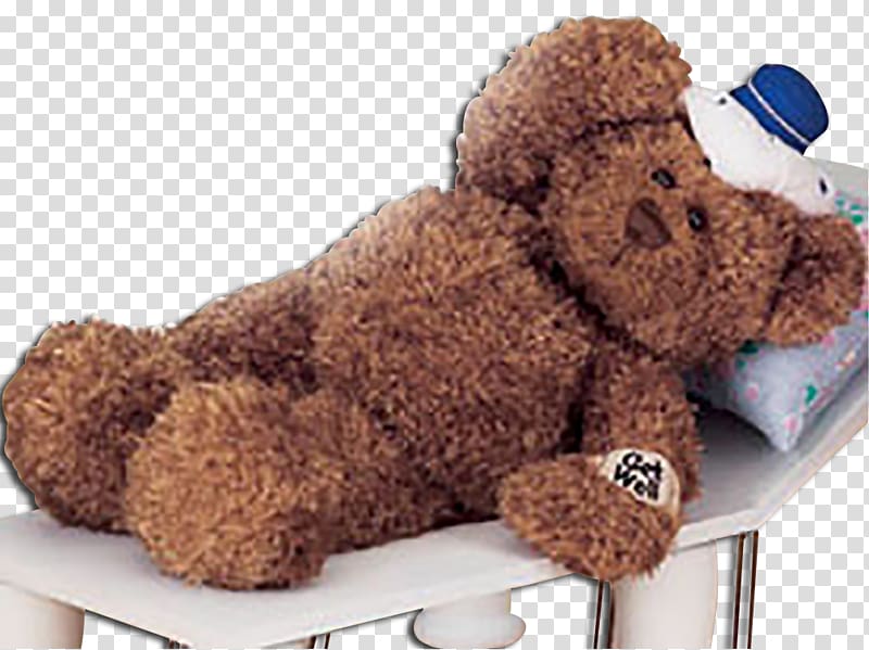 Poodle Teddy bear Stuffed Animals & Cuddly Toys Gund, bear transparent background PNG clipart