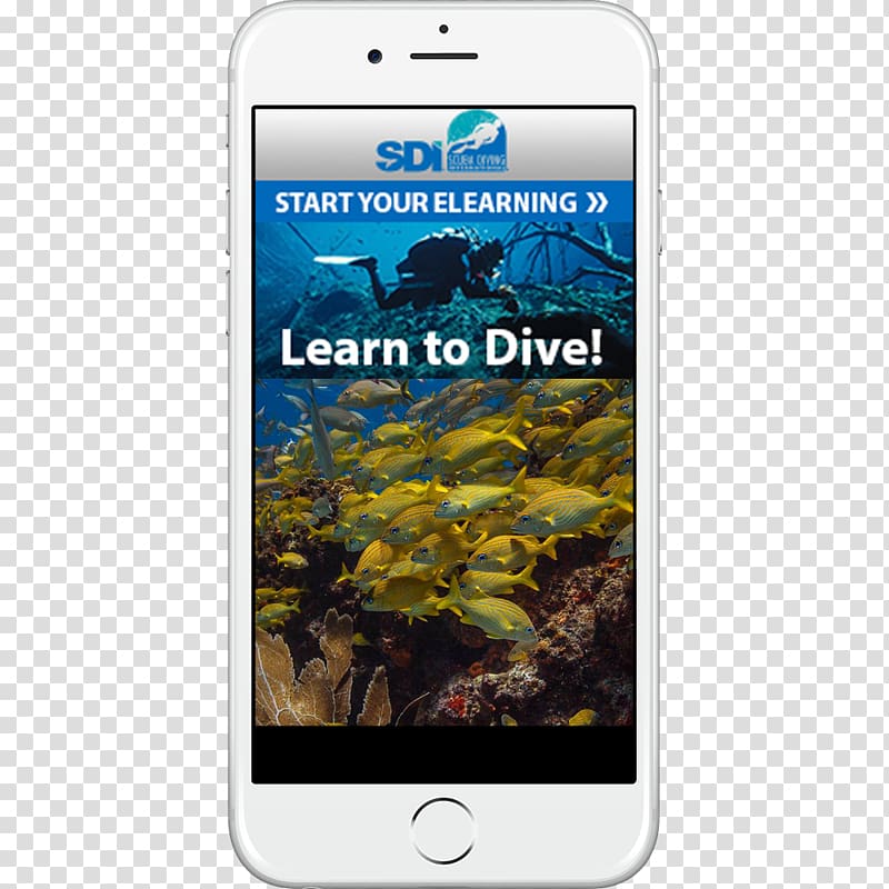 Smartphone HTC Desire Eye Professional Association of Diving Instructors Scuba diving Underwater diving, smartphone transparent background PNG clipart