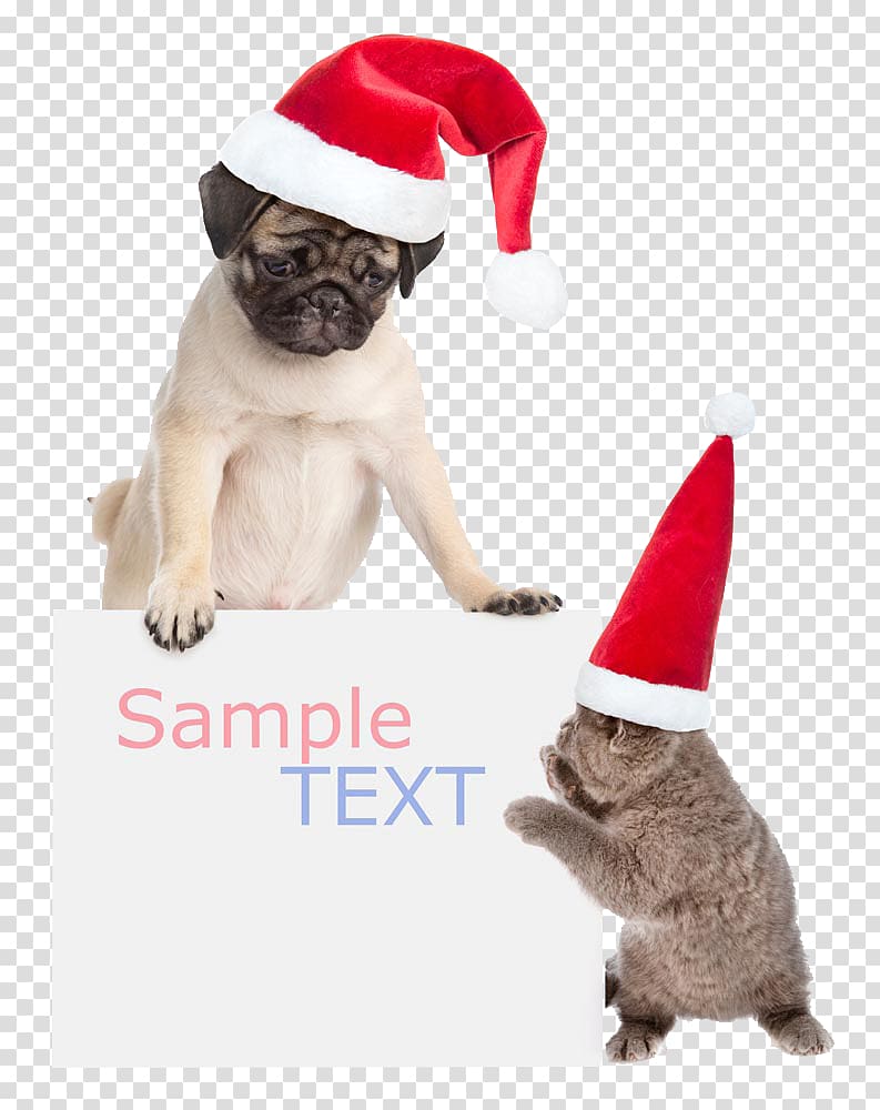 Cats and dogs Christmas HD Free buckle material transparent background PNG clipart