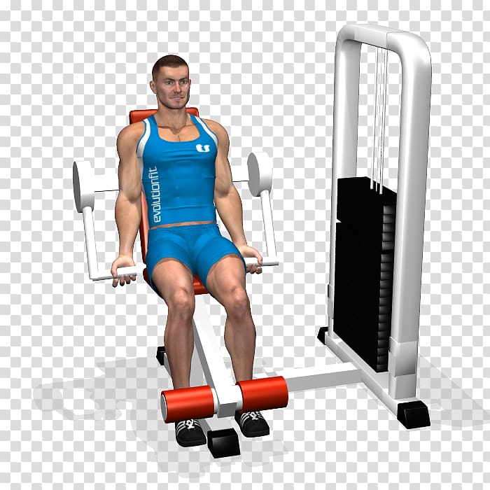 Biceps Weight training Muscle Flexion marteau Brachioradialis, bicep curl icon transparent background PNG clipart