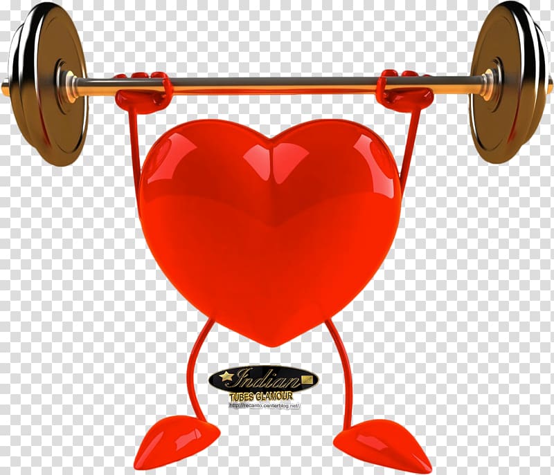 Nutrient Heart Health Cardiovascular disease Organ, health transparent background PNG clipart