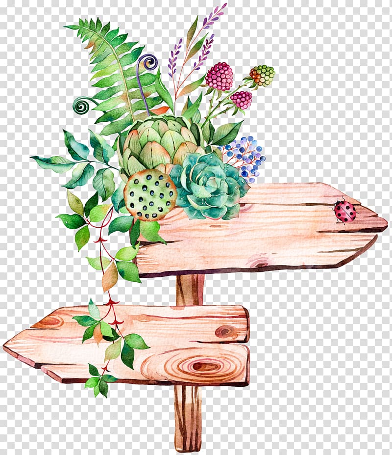 Succulent plant Watercolor painting Illustration, Hand-painted signs, brown and green arrow signage illustration transparent background PNG clipart