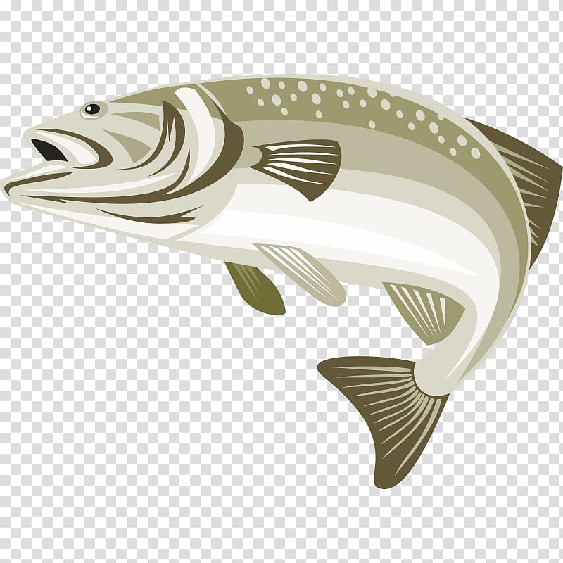 Largemouth bass Green sunfish , fish transparent background PNG clipart