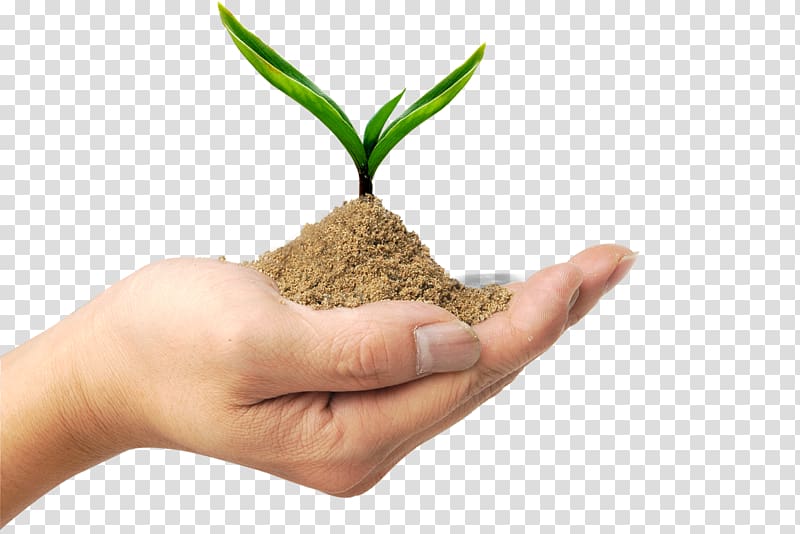 person hand holding seedling, Environmental protection Sustainable living Project, Arbor Day Creative transparent background PNG clipart