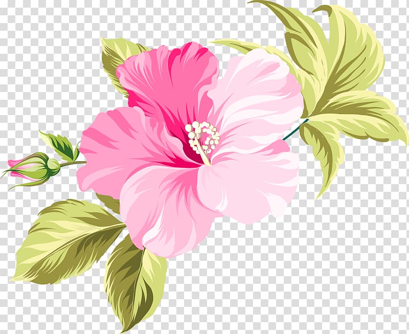 pink hibiscus flower art, Flower Hawaii , flower transparent background PNG clipart