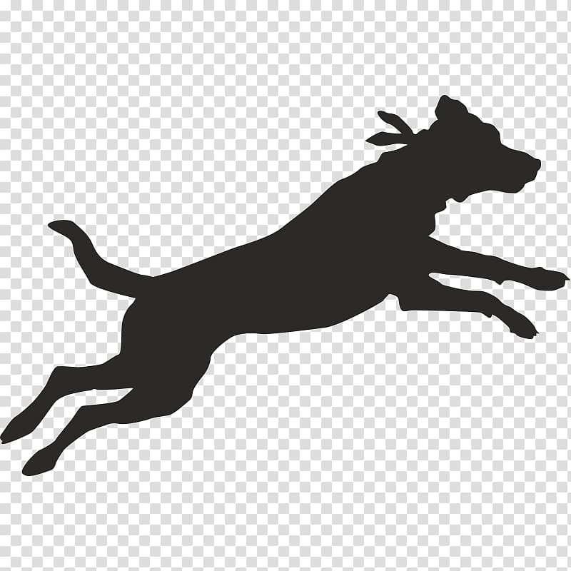 Dog Tired San Diego Running Room Sit Means Sit Animal rescue group, dog transparent background PNG clipart