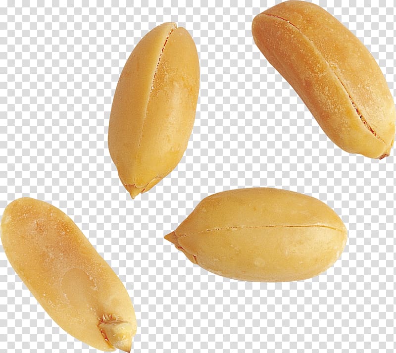 Peanut transparent background PNG clipart