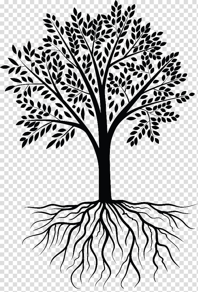 tree with roots illustration, Tree Wall decal, tree transparent background PNG clipart