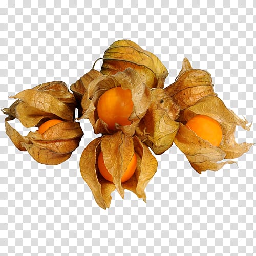 Peruvian groundcherry Vegetable Physalis, vegetable transparent background PNG clipart