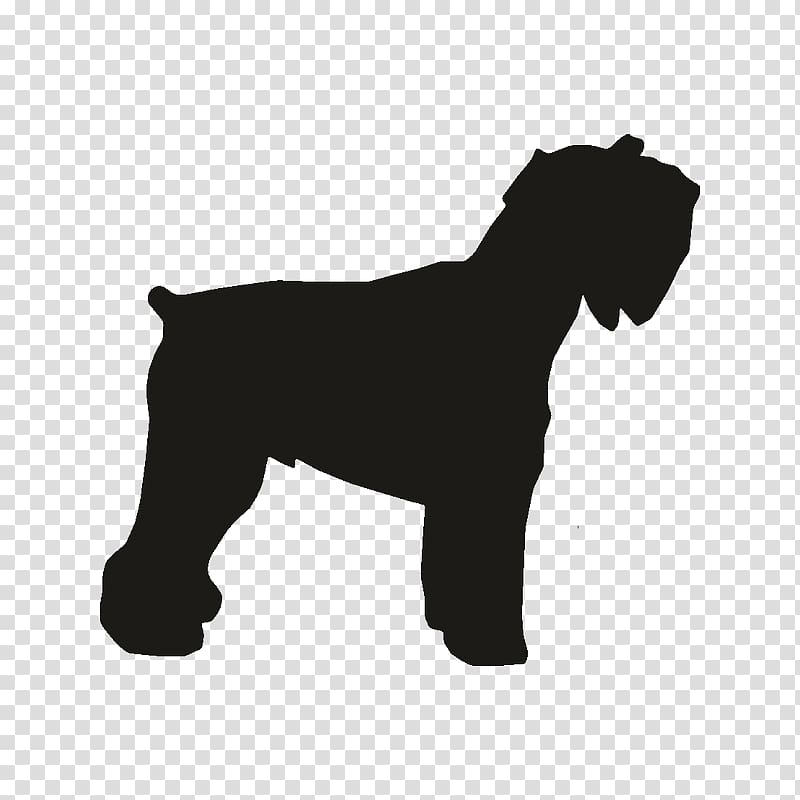 Miniature Schnauzer Dog breed Rottweiler Dobermann Pit bull, norfolk terrier transparent background PNG clipart