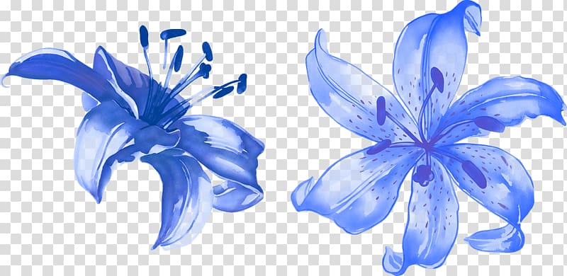 purple orchids painting, Flower Render Lilium Blue, Blue lily transparent background PNG clipart