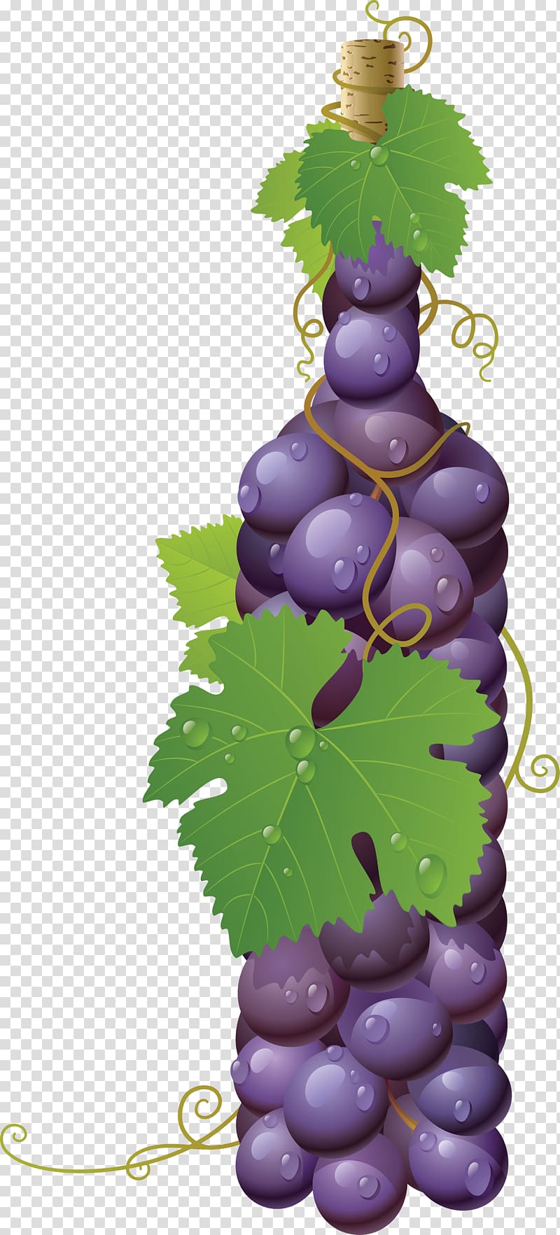 Common Grape Vine Wine Must, Grape transparent background PNG clipart