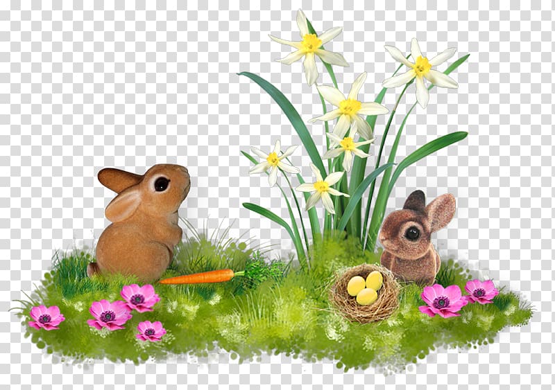 Domestic rabbit Hare Flora Fauna Meadow, Easter transparent background PNG clipart