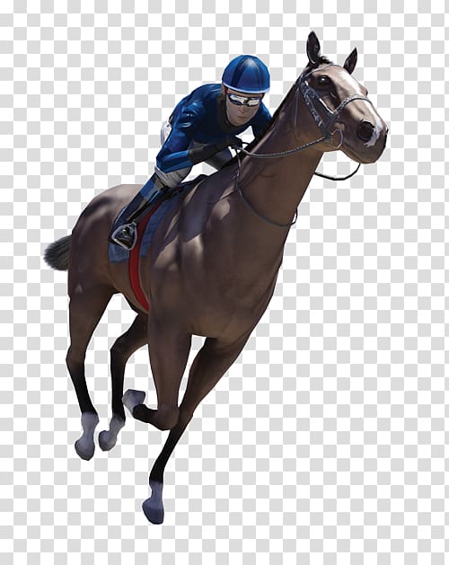 Horse racing Jockey Stallion Sports betting, horse racing transparent background PNG clipart
