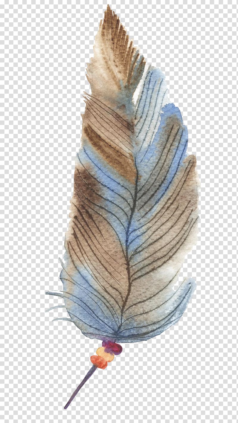 Feather Drawing, Hand-painted feathers transparent background PNG clipart