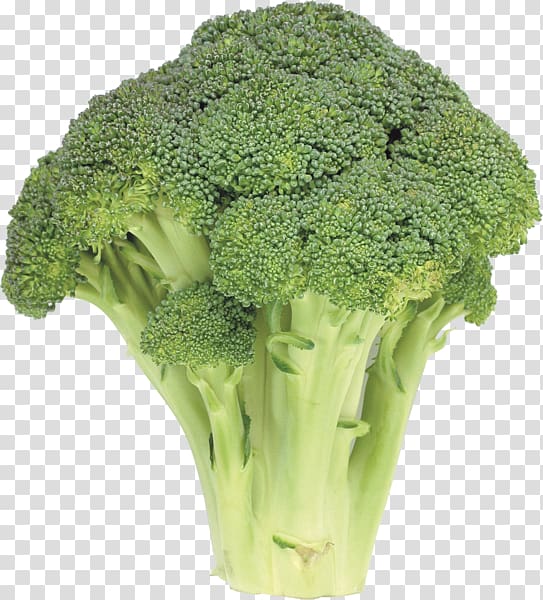 Broccoli Cruciferous vegetables Cabbage Caesar salad, broccoli transparent background PNG clipart
