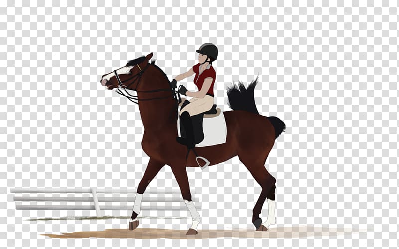 Stallion Hunt seat Mustang Rein Mare, mustang transparent background PNG clipart