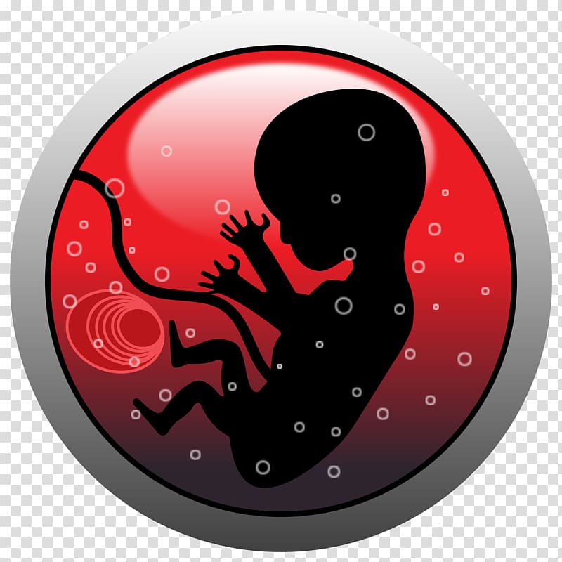 Embryo Fetus Abortion , human transparent background PNG clipart