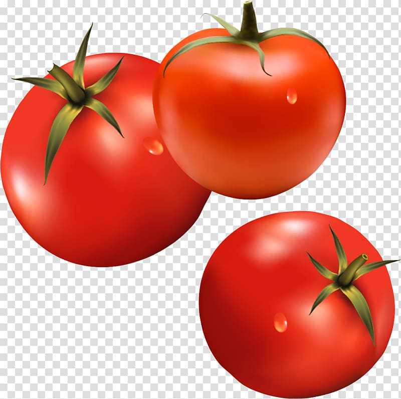 Hamburger Tomato Vegetable Ketchup, Tomatoes Vegetable material transparent background PNG clipart