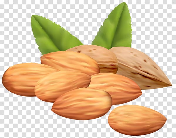 Mixed nuts Pine nut , nuts transparent background PNG clipart