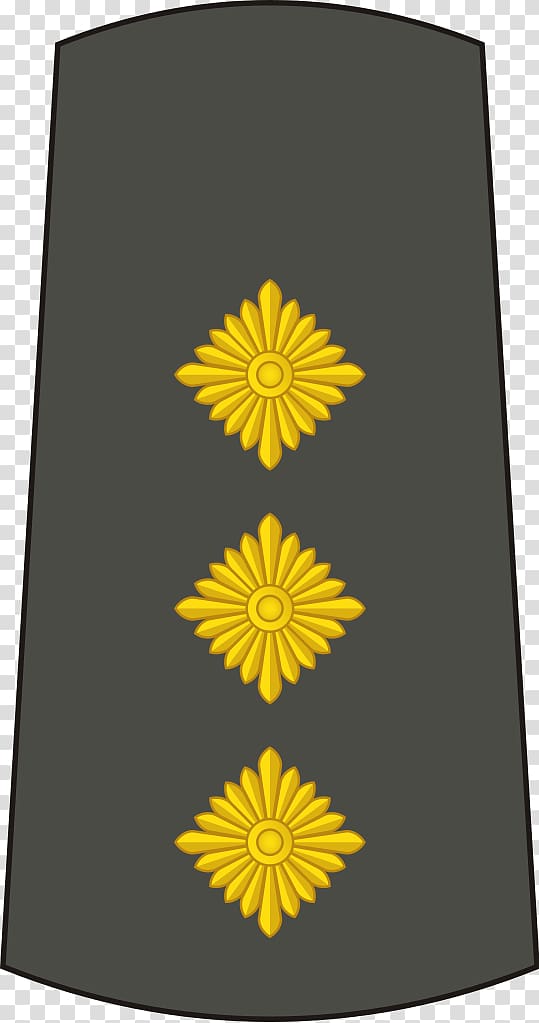 Lieutenant general Lieutenant colonel Captain Major general, army transparent background PNG clipart
