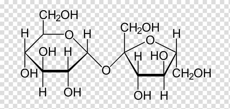 Sucrose Structural formula Molecule Fructose Molecular model, small intestine transparent background PNG clipart