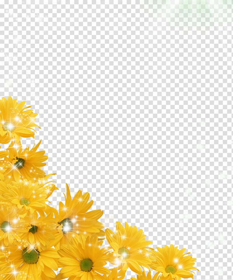 Desktop Computer Icons , Sunflower transparent background PNG clipart