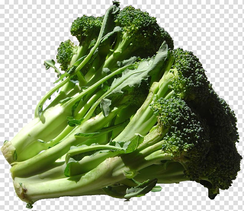 Organic food Vegetable Emile Peloquin Fruits-Legumes Broccoli, broccoli transparent background PNG clipart
