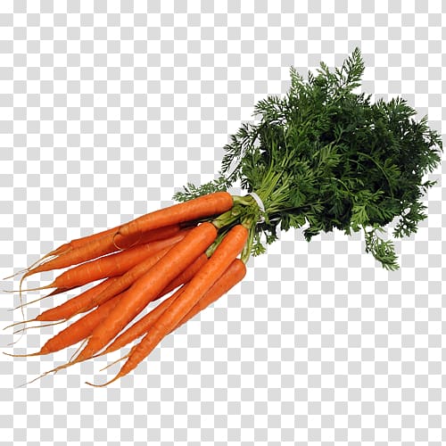 Baby carrot Mirepoix Leaf vegetable Superfood, carrot transparent background PNG clipart