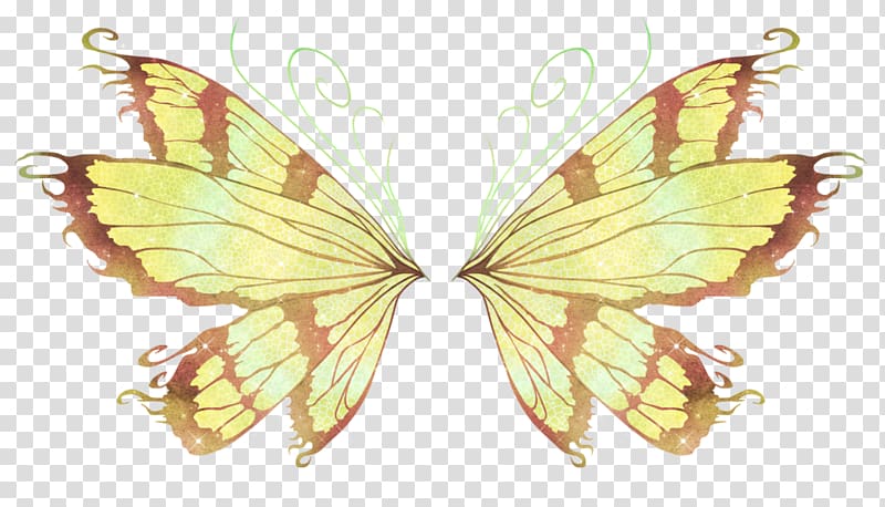 Butterfly Wing Tattoo Greta oto, butterfly transparent background PNG clipart