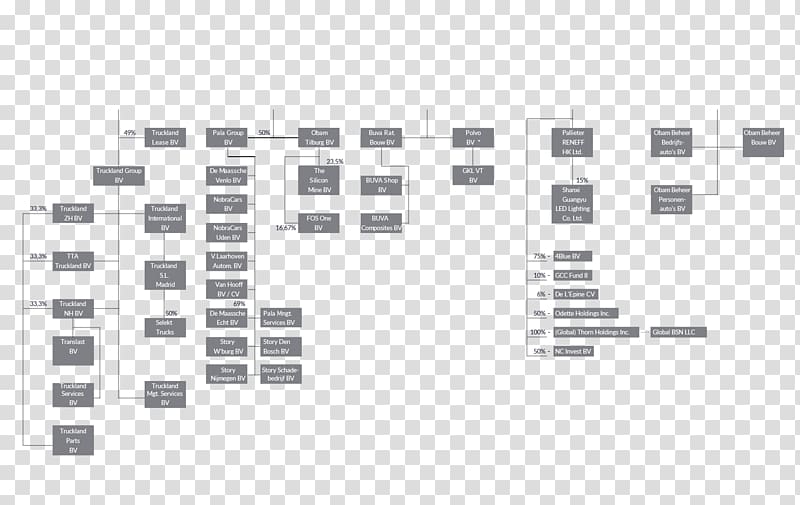 Organizational chart Holding company Pallieter Group B.V. Corporate group,  grams, angle, text png