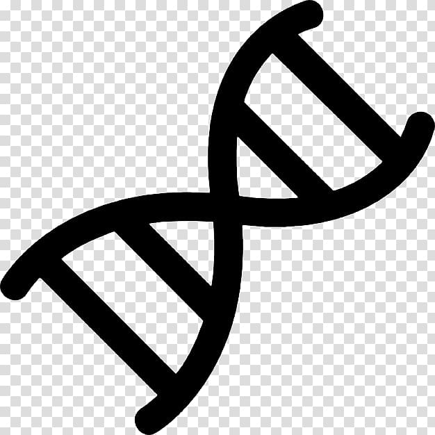 Nucleic acid double helix DNA Symbol Computer Icons Genetics, symbol transparent background PNG clipart