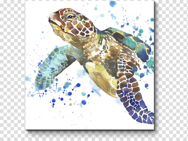 Sea turtle Watercolor painting, turtle transparent background PNG clipart