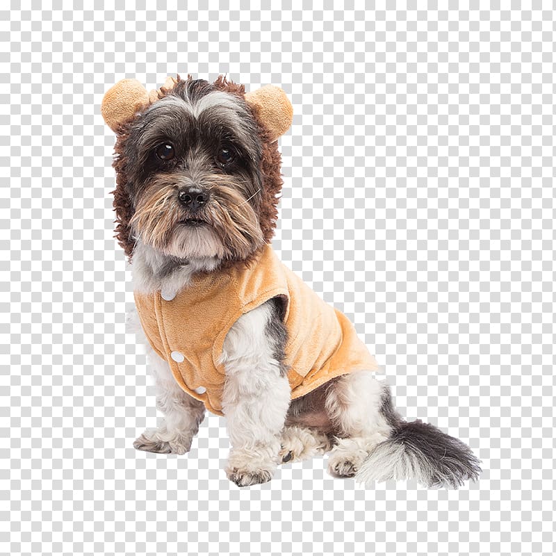 Shih Tzu Puppy Little lion dog Dog breed Tibetan Spaniel, pet clothing transparent background PNG clipart