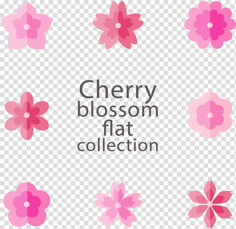 National Cherry Blossom Festival Flat design, Eight pink cherry blossoms transparent background PNG clipart