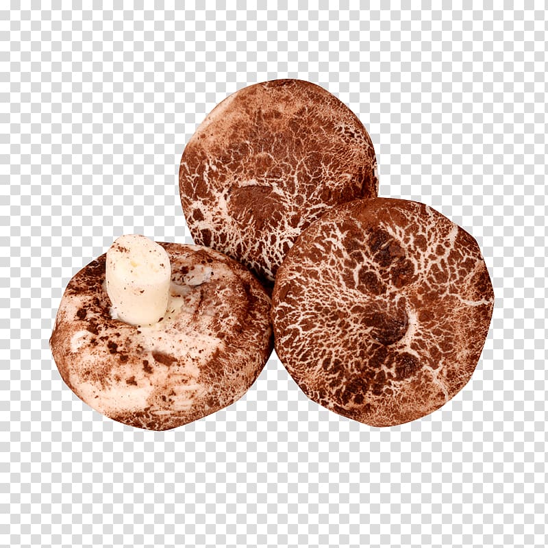 Baozi Cinnamon roll Cha siu bao Shiitake Bun, Mushroom Buns Buns with buns transparent background PNG clipart