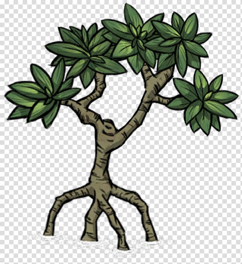 Mangrove Tree Don\'t Starve Plant Biome, tree transparent background PNG clipart