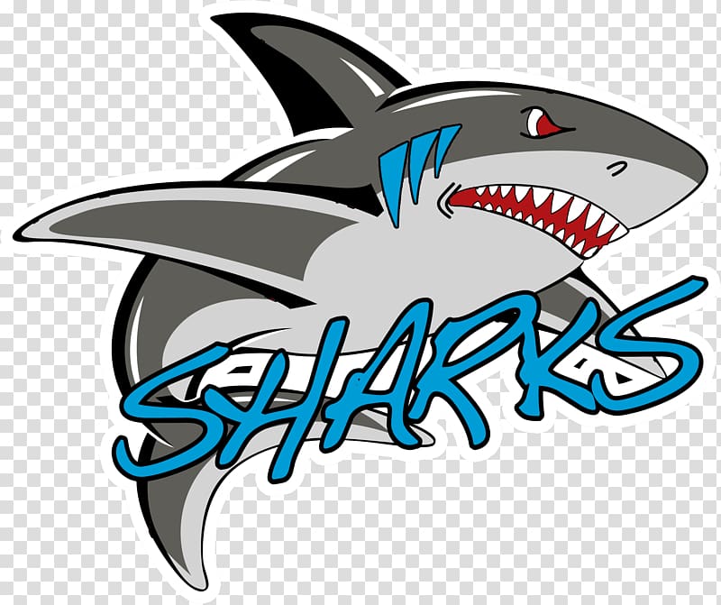 Hara Arena Dayton Sharks Continental Indoor Football League Football team, sharks transparent background PNG clipart