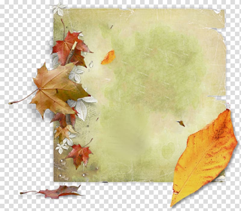 Autumn Maple leaf , Book label transparent background PNG clipart