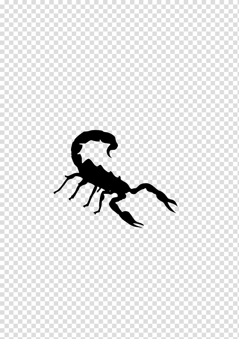 Scorpion , Silhoutte transparent background PNG clipart
