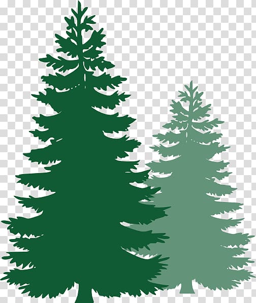 two green pine trees illustration, Blay Electric Summer camp Camping Concord Child, pine tree transparent background PNG clipart